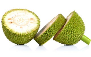 Tender Jackfruit (Kathal) /500g
