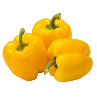 Capsicum Yellow /250g