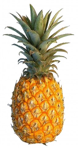 pineapple (ananas)